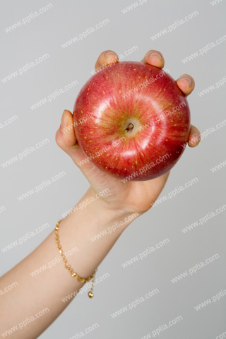사과 잡고 있는 손 이미지 미리보기