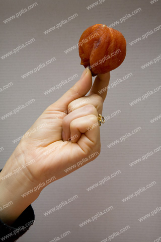 곶감 잡고 있는 손 이미지 미리보기