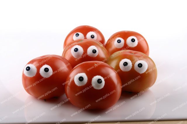 토마토 이미지 미리보기
