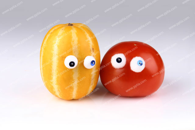 참외 토마토 이미지 미리보기