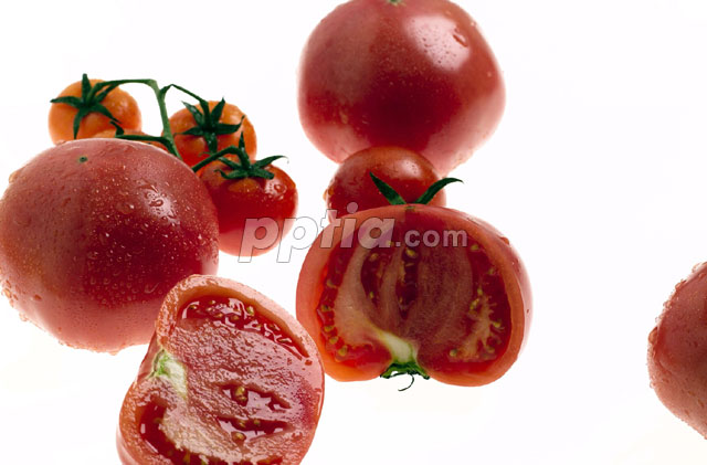 토마토 이미지 미리보기