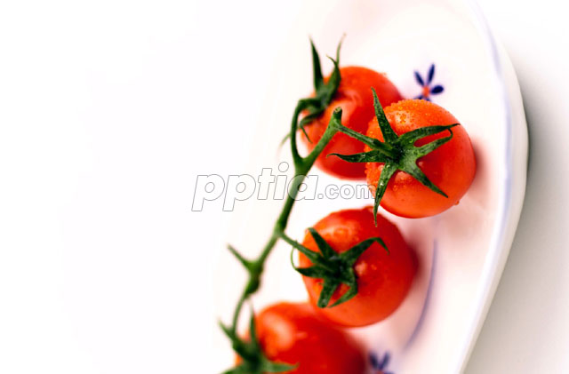 방울토마토 이미지 미리보기