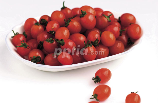 방울토마토 이미지 미리보기