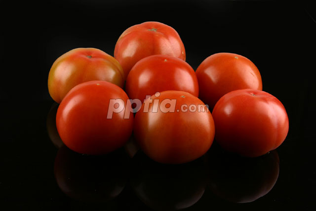 토마토 이미지 미리보기