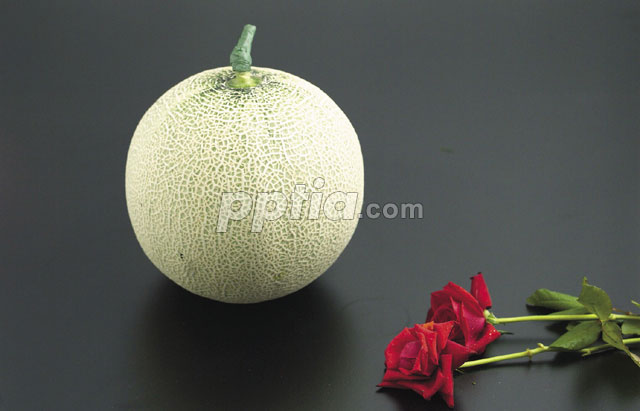 메론 이미지 미리보기
