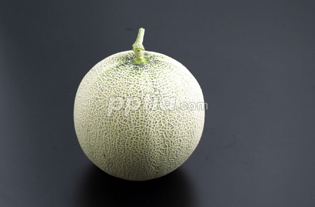 메론 이미지 미리보기