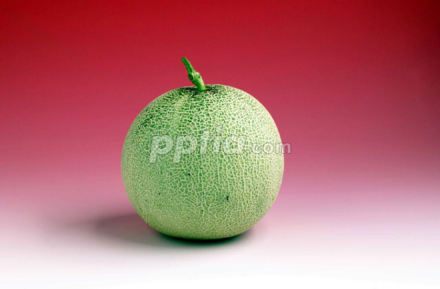 메론 이미지 미리보기