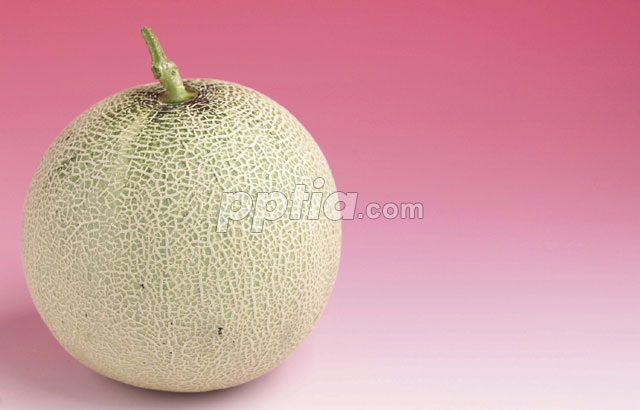 메론 이미지 미리보기