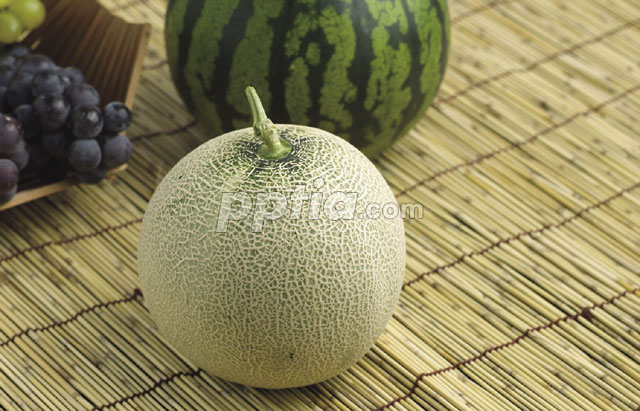 메론 이미지 미리보기