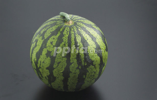 수박 이미지 미리보기
