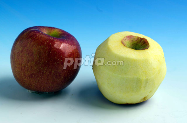 껍질깍은 사과와 안깍은 사과 이미지 미리보기