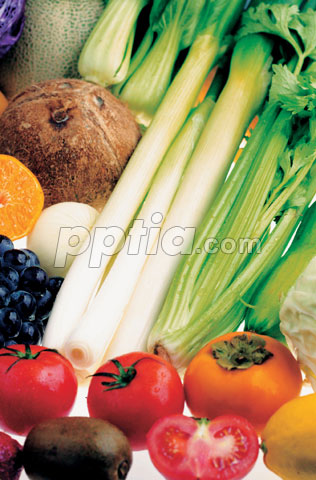 각종 채소 과일 이미지 미리보기