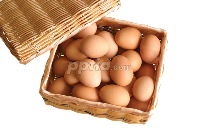 달걀 이미지 미리보기