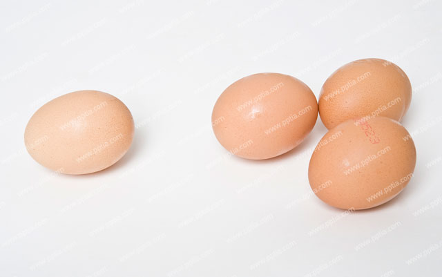 달걀 이미지 미리보기