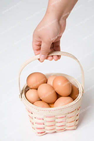 달걀과 손 이미지 미리보기