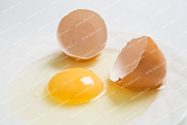 달걀 이미지 미리보기
