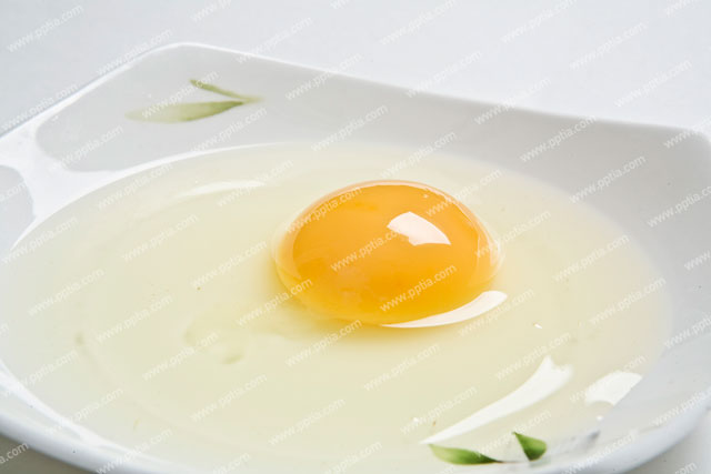 접시 위에 달걀 이미지 미리보기