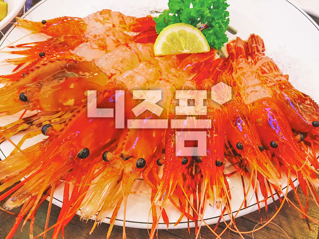 새우 이미지 미리보기