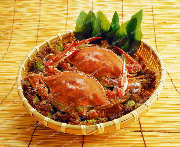 게 이미지 미리보기