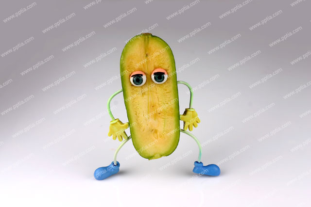 호박 이미지 미리보기