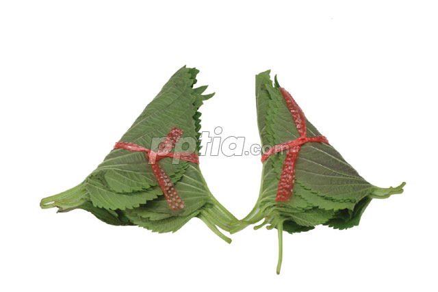 깻잎 이미지 미리보기