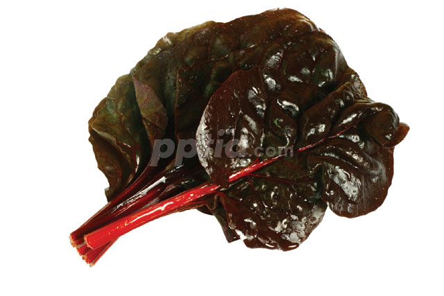 채소 이미지 미리보기