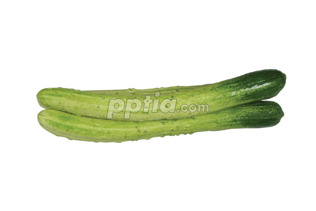 오이 이미지 미리보기