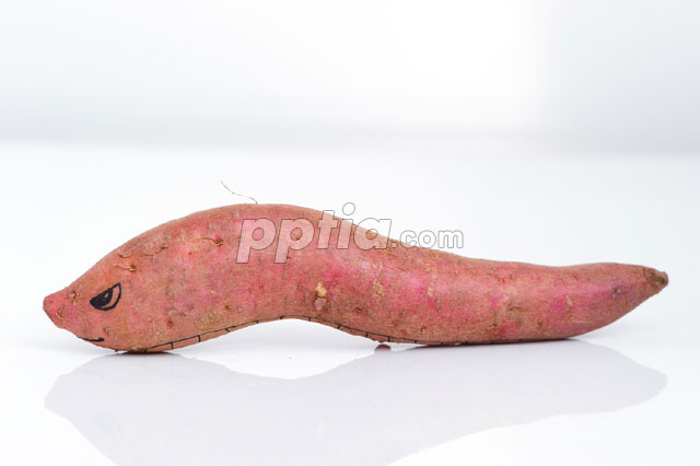 고구마 이미지 미리보기