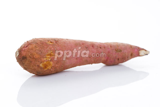 고구마 이미지 미리보기