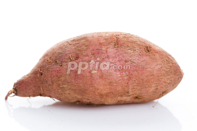 고구마 이미지 미리보기