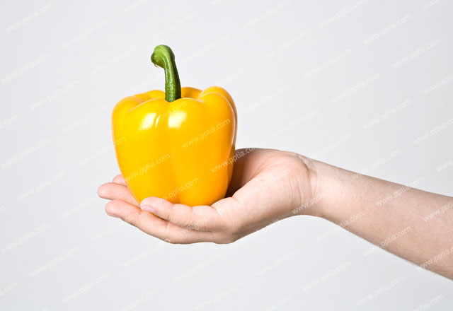 손 위에 파프리카 이미지 미리보기