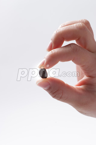 커피원두 잡고 있는 손 이미지 미리보기