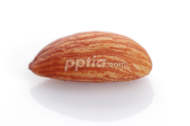 아몬드 한알 이미지 미리보기