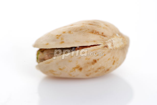 피스타치오 이미지 미리보기