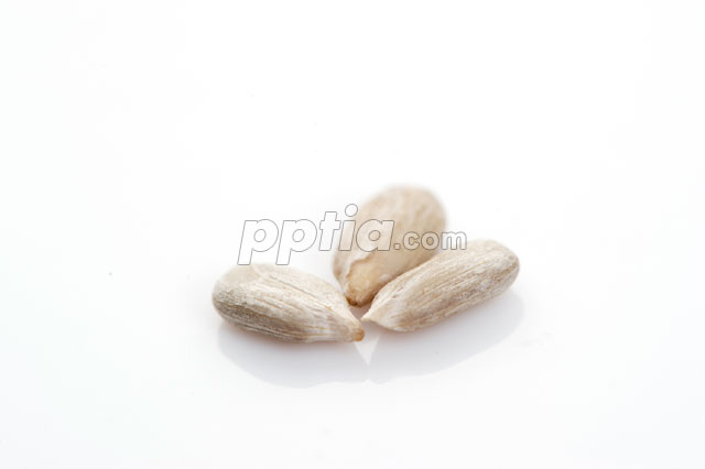 해바라기씨 이미지 미리보기