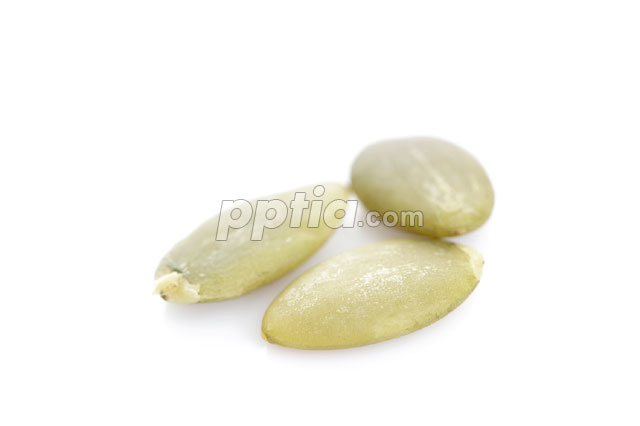 호박씨 이미지 미리보기