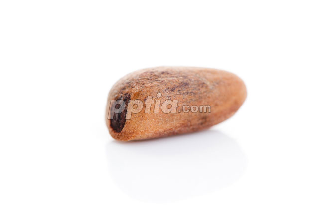 견과류 이미지 미리보기