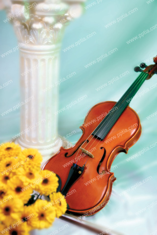 바이올린과 꽃 이미지 미리보기