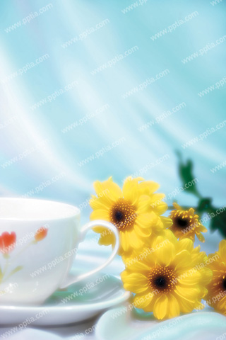 커피와 꽃 이미지 미리보기
