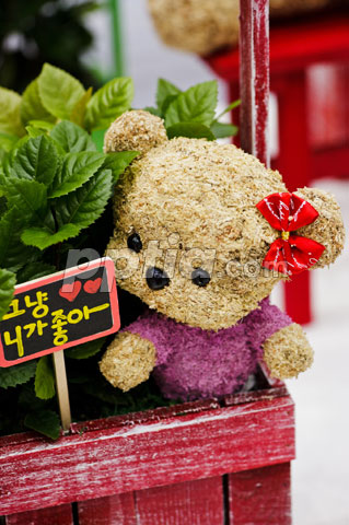 토피어리 이미지 미리보기