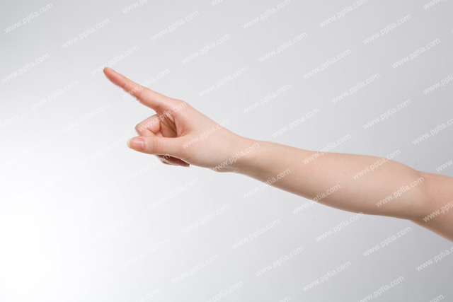 사람 손 이미지 미리보기