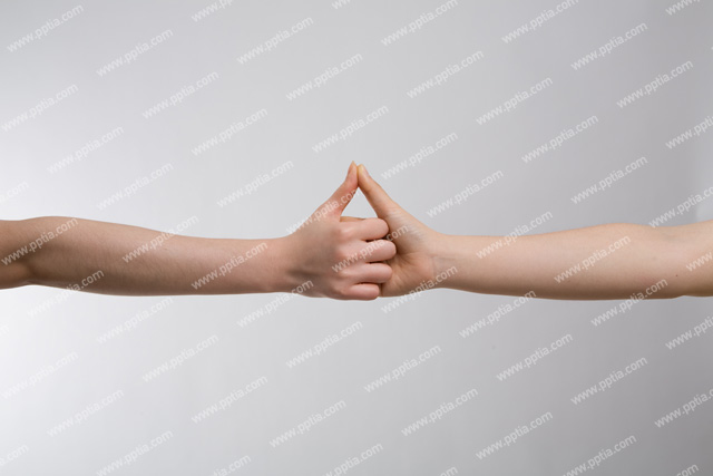 사람 손 이미지 미리보기