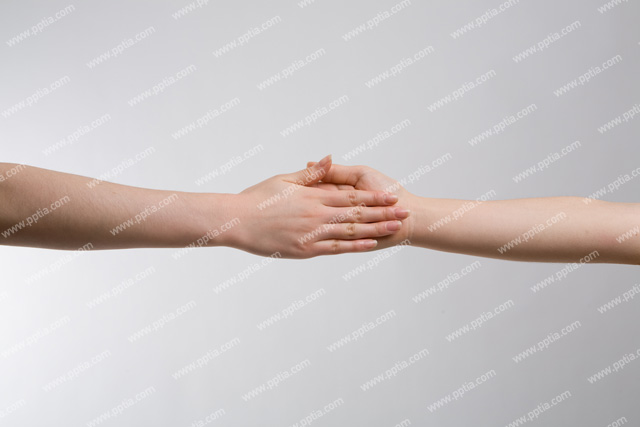 사람 손 이미지 미리보기