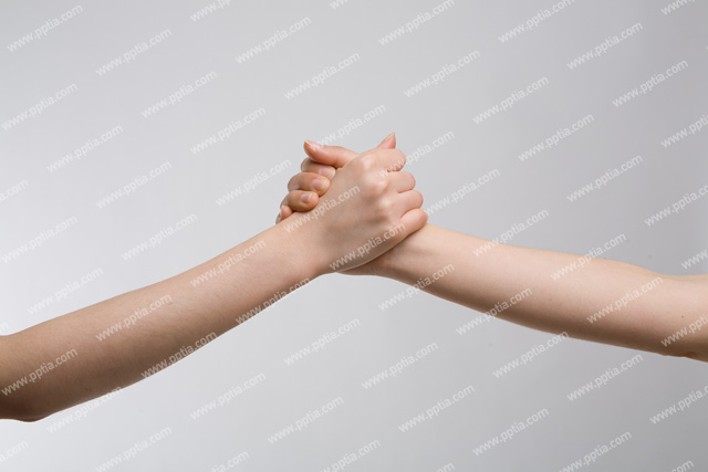 사람 손 이미지 미리보기