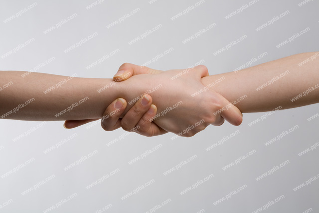 사람 손 이미지 미리보기