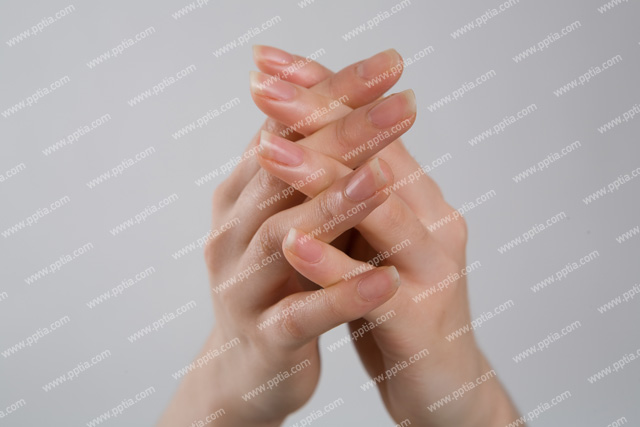 사람 손 이미지 미리보기