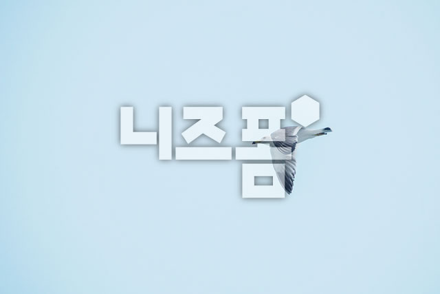 갈매기 이미지 미리보기