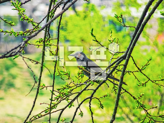 새 이미지 미리보기