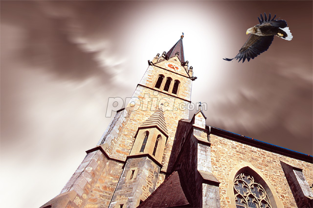 교회건물과 독수리 이미지 미리보기