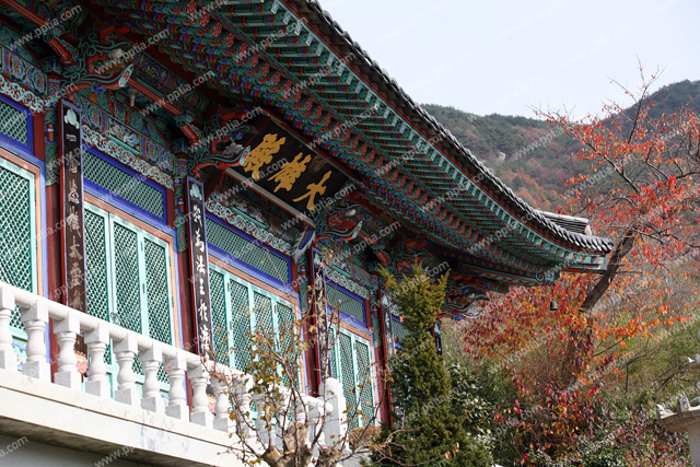 전통건물 이미지 미리보기